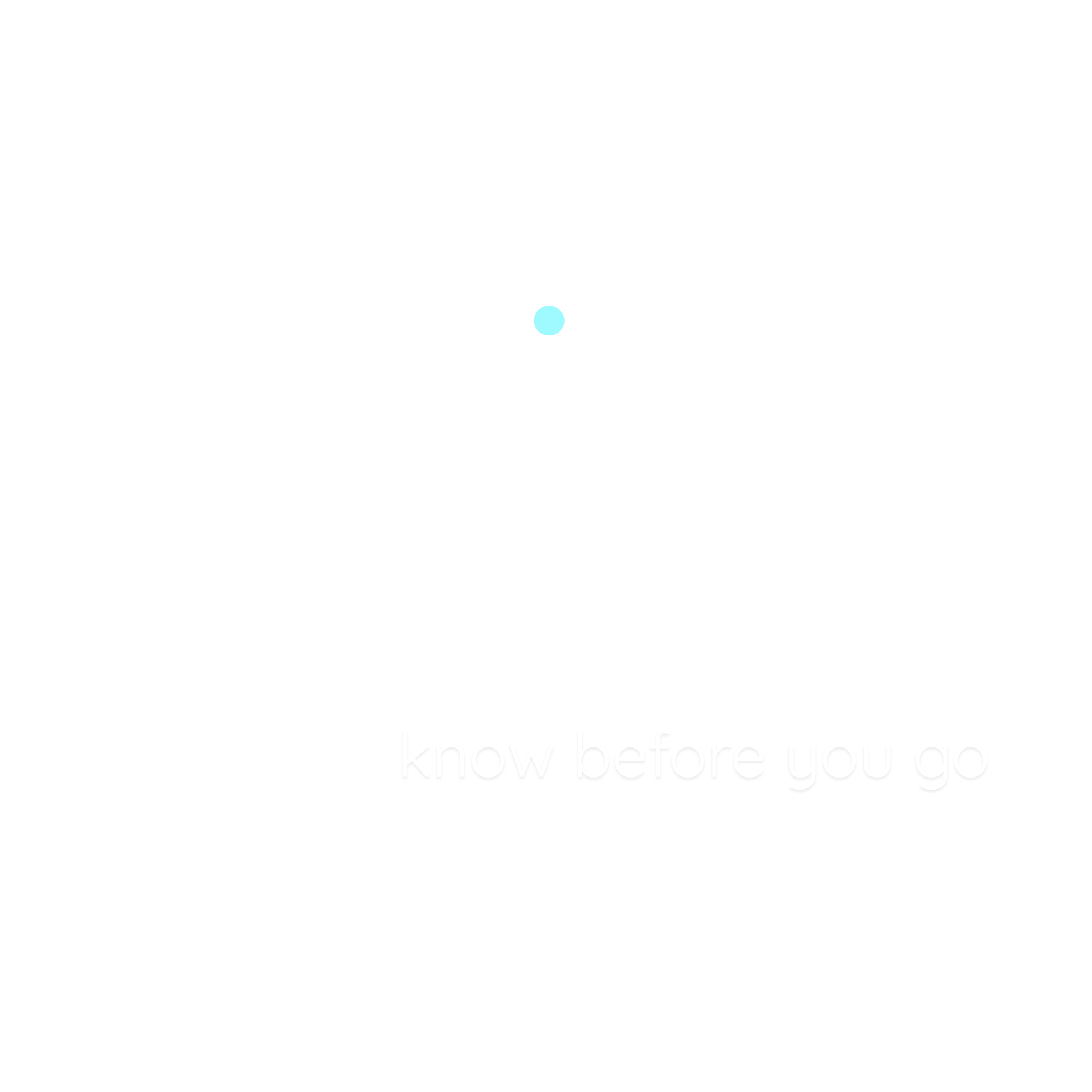 BIB